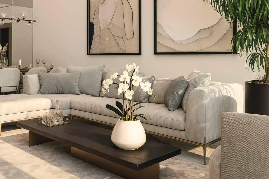 Asayel Avenue gallery 2