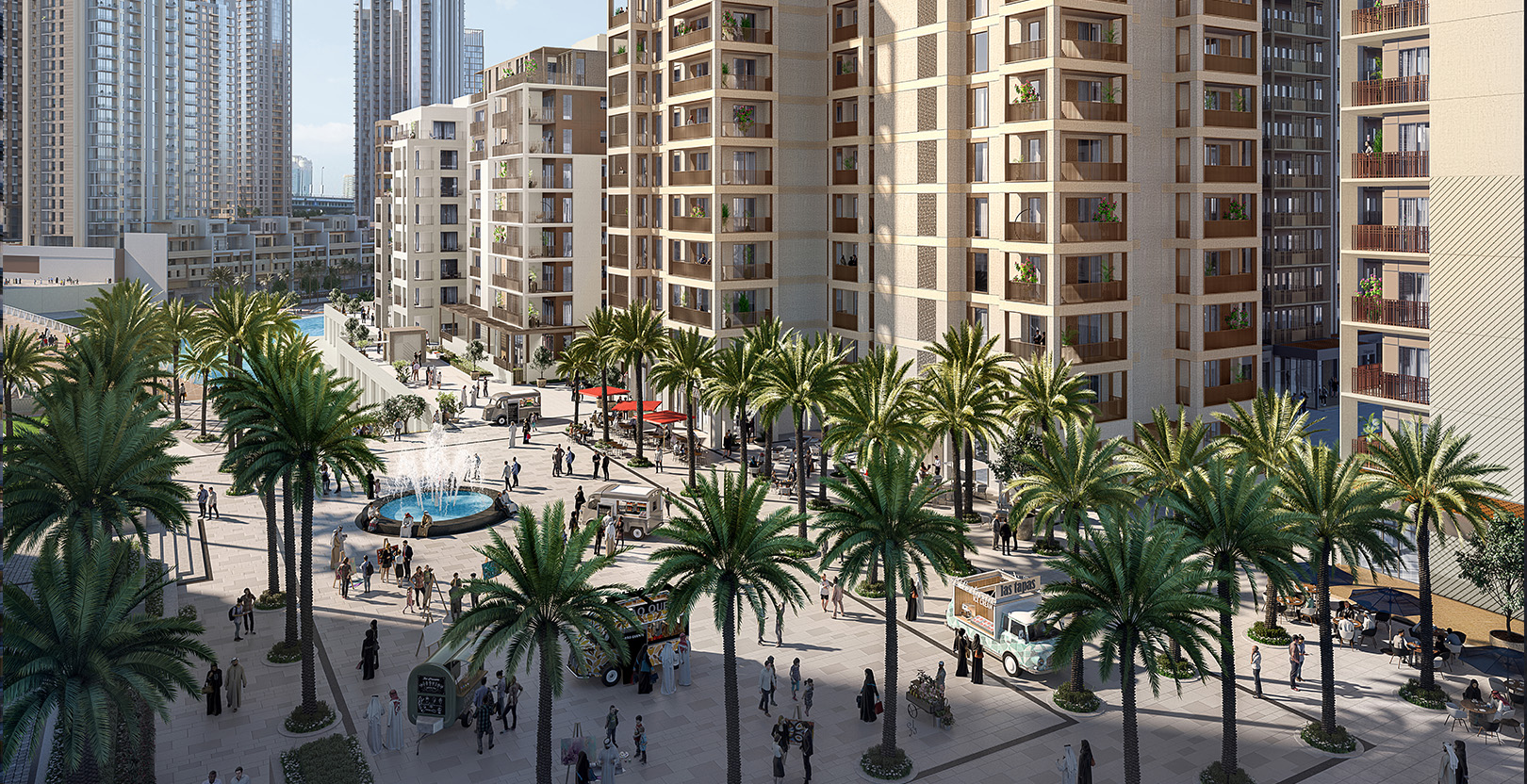 Mangrove